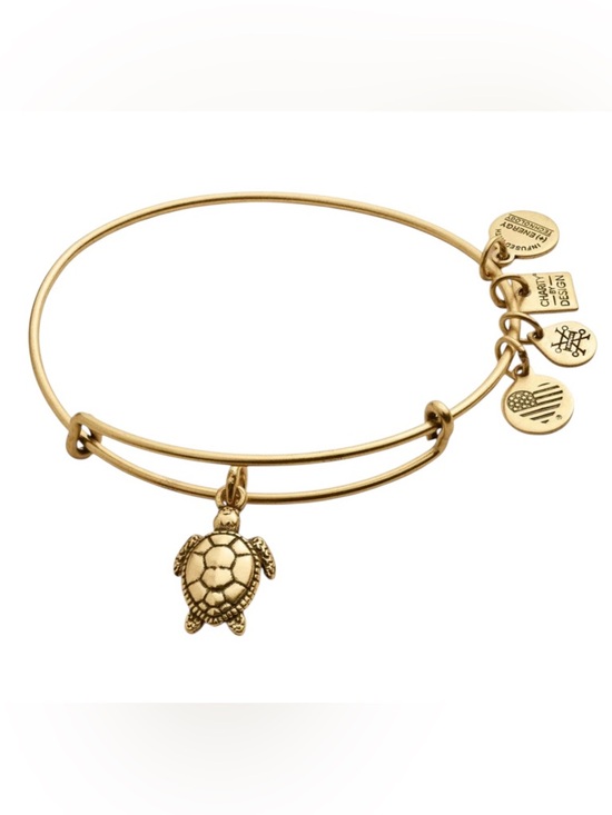 Alex and Ani Jewelry - NWT Alex and Ani - Gold Turtle Charm Bangle Bracelet